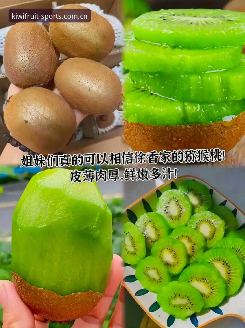 奇异果体育平台深度评测：官方网址可靠性、安全性与访问体验全面分析