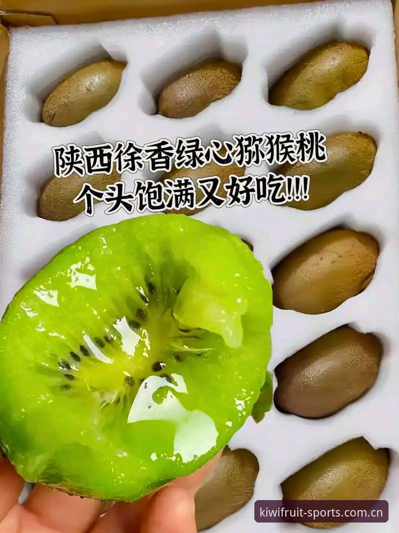 奇异果体育官网入口必备：安全路径与高效访问实用指南