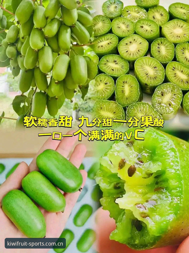 4个维度解析奇异果体育登录链接对比：找到2024年最安全的访问路径
